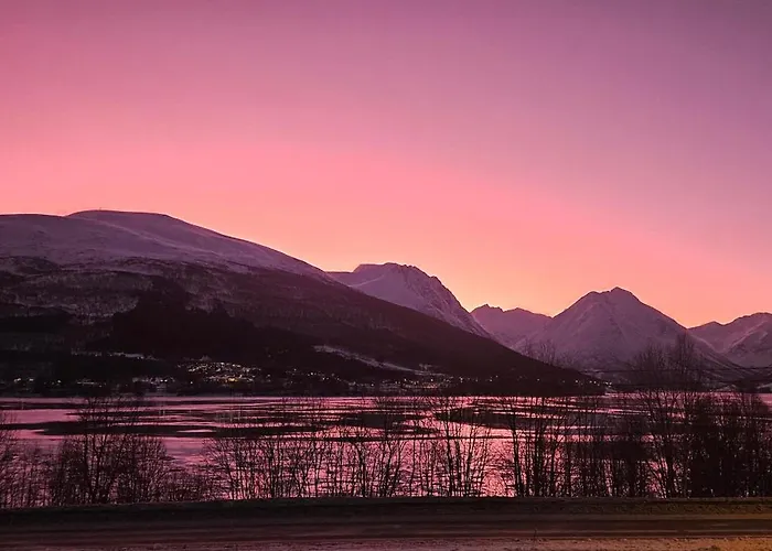 Ramfjord 2 Lejlighed *